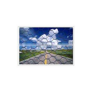 poultry farm mesh/ hexagonal wire netting