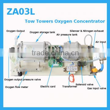 3L 5L 8L 10L oxygen producing plant PSA 2 towers oxygen concentrator parts