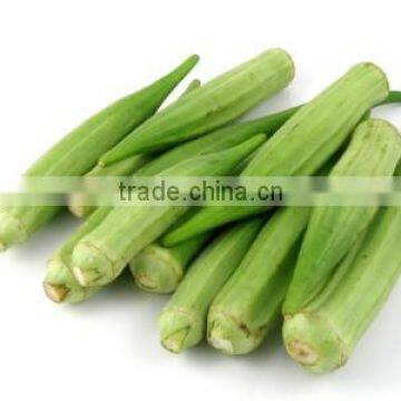 Fresh Okra for sale