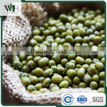 Machine Dressed Green Mung Bean photo-4