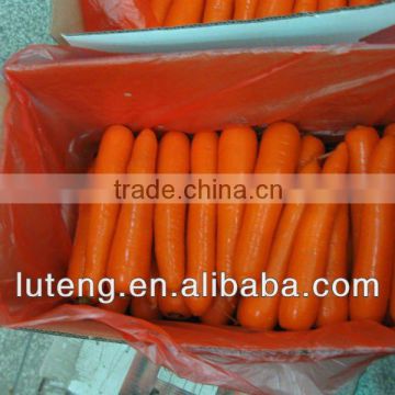 2013 new crop fresh carrot for sales