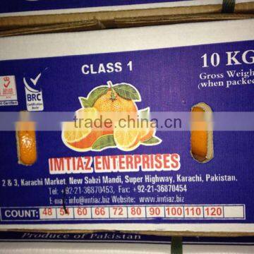 New Year 2017 Special Offer - Farm Fresh Mandarin / Kinnow