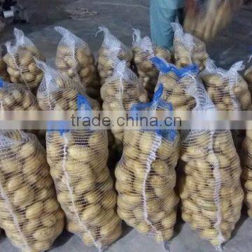 Supreme Quality Potato for Russia & Ukraine