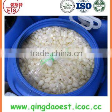 Garlic in brine from chinese factory with high quality and competitive price