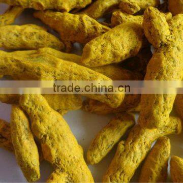 Nizamabad turmeric