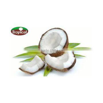 PURE VIRGIN COCONUT OIL IN BULK photo-2