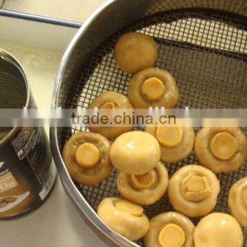 Best Quality Canned Mushroom Whole photo-3