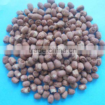 VIETNAMESE SUPPLIER OF RED LOTUS SEEDS BEST PRICE