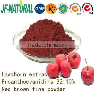 100% natural Hawthorn Powder fruit powder ISO, GMP, HACCP, KOSHER, HALAL certificated.