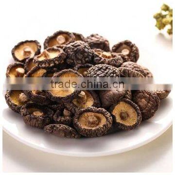 Green Healthy Dried Smooth Mushroom for Sale photo-5