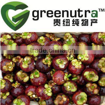 mangosteen fruit extract