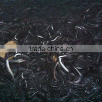 Wholesale Price of Eel Feed Powder, Black|elver|adult Eel Feed With High Protein photo-5