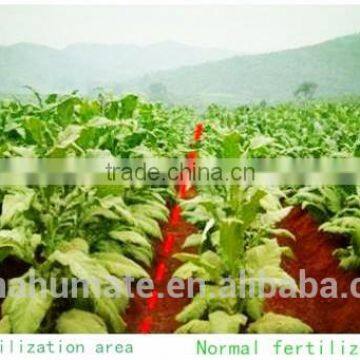 Vegetable flower growth fertilizer