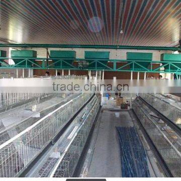 Factory Hot-sale High Quality Layer Quail Cages for Sale in Poultry Farm