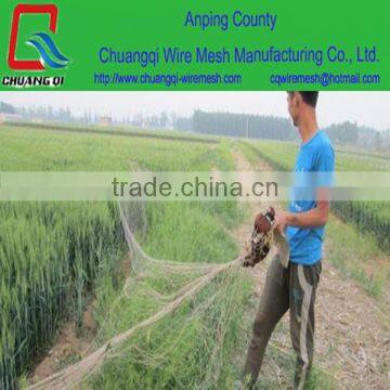 pheasant netting/plastic mesh anti hail net for growing plants