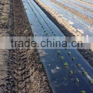 Hot Sale Push Seeder for Vegetable photo-4