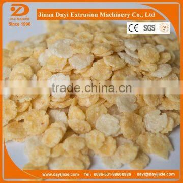 Bread Crumb Process Line From Jinan Dayi photo-3