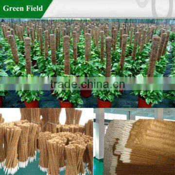 Decorative Coconut Plant Stakes photo-1