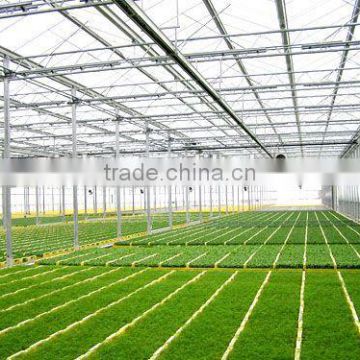 Galvanized steel structure pc sheet cover greenhouses