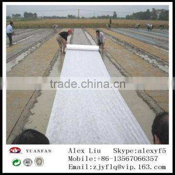 TNT Fabric the Landscape of Fabric / Gardening Non Wovn Fabric / Agriculture Nonwoven Fabric photo-5