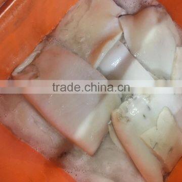Frozen Peru Dosidicus Gigas Giant Squid Fillet photo-5