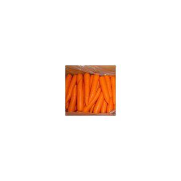 Sell Fresh Carrots