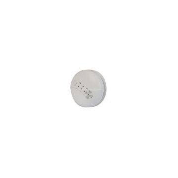 LCD Carbon Monoxide Detector RoHS and CE Marks