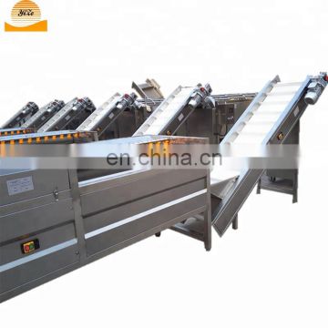 mango fruit grading machine / Apple washing sorting machine