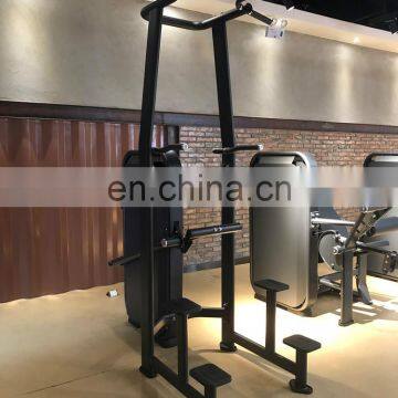 New Design Wholesale High Quality Pin Loaded Dip/Chin Assist Body Building Hammer Strength Commercial Gym Equipment SES09 photo-5