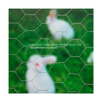 Electro Galvanized Hexagonal Wire Netting    chicken wire dog fence    hexagonal wire mesh manufacturers