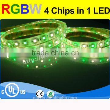 Latest new model 24v rgbw smd led strip