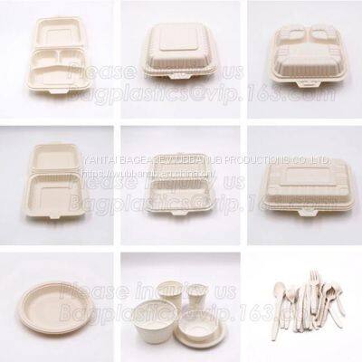 Dishes & Plates Dinnerware Blister Packaging Resturant Disposable Food Serving Tray Food Disposable Container photo-5
