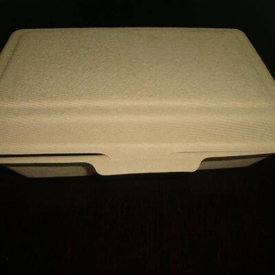 1000ml Double Grid Lunch Box 9 * 6 Degradable Environmental Protection Lunch Box Take Out Pulp Bagasse Lunch Box Disposable Lunch Box Single Double Grid Salad Box photo-2