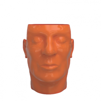 Rotomolded PVC Portrait model and Mannequin