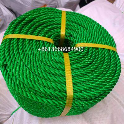 2MM 4MM 6MM 8MM 100Yard Yellow Green Twisted PE PP Fishing Boat Plastic Twine Rope photo-2