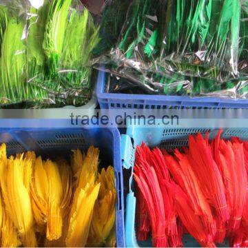 Wholesale Goose Nagoire White Goose Feathers photo-3