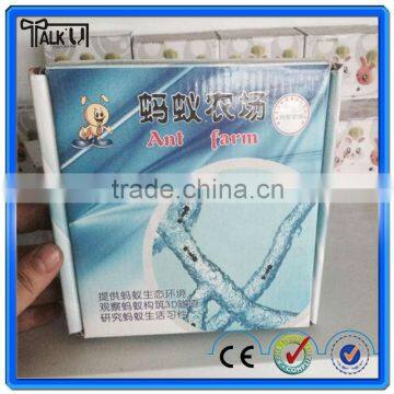 High Quality Wholesale Magic Toy Ant Farm for Children Education of Ant Worker