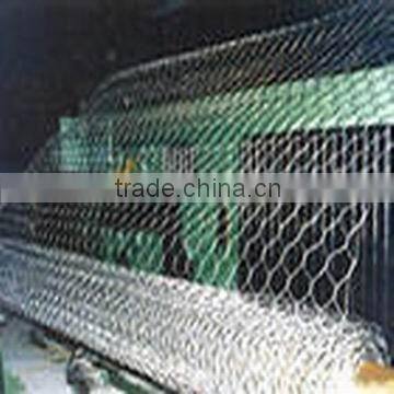 Hot dipped PVC Coated Gabion Box Wire Mesh (Factory) , galvanized hexagonal wire mesh, galvanized welded wire mesh