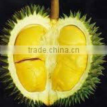 BEST PRICE VIETNAM FROZEN DURIAN photo-4