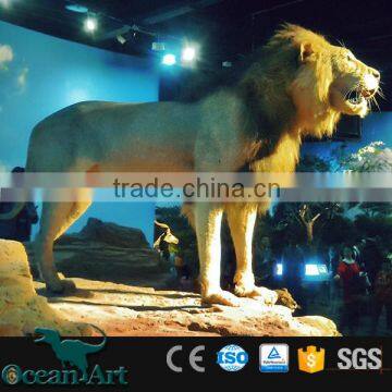 BY-VI040701 Simulation Animal Mini-Golf