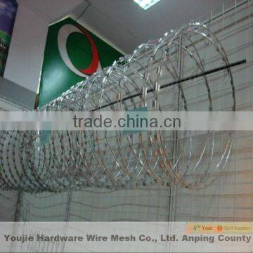 razor barbed wire mesh fencing (professional factory)