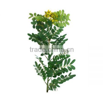 Artificial yellow flower leaves