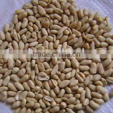 blanched peanuts kernel 39/43