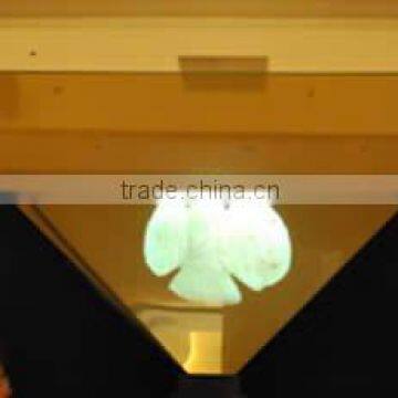 Richtech Multiside Acrylic Showcase Vivid 3D Hologram Display photo-2