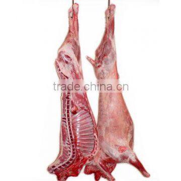 Lamb Carcasses. HALAL available