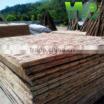 Cheap Reed Ceiling / Reed Plate photo-4