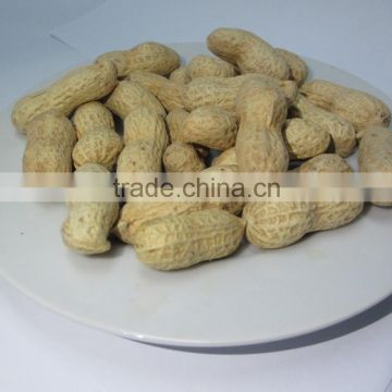 shandong roasted red skin peanuts