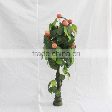 Wholesale Cheap Apple Fruit TREE photo-3