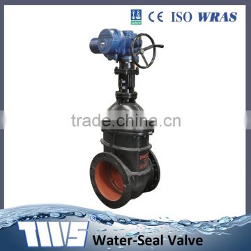 TWS ductile iron DPEM disc gate valve with pneumatic/electric actuator