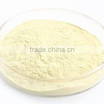 ISO9001/HACCP/Kosher/Halal Bamboo Dietary Fiber Powder